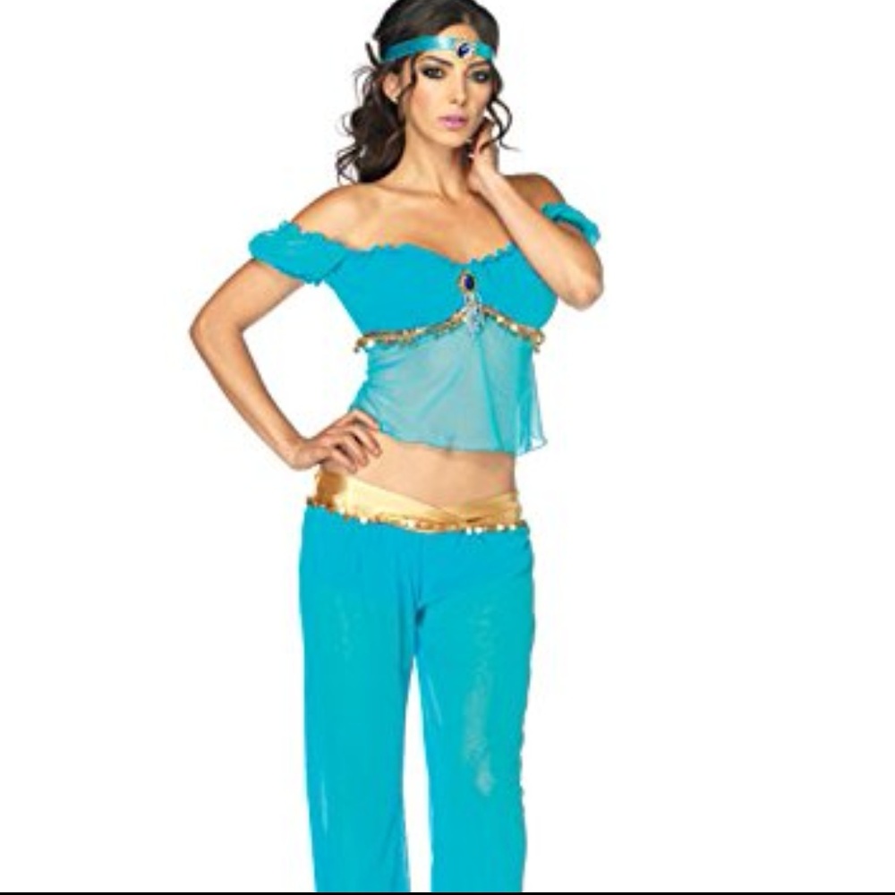 Princess Jasmine adult costume, never been worn!